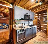 Rustic kitchen with wooden walls, modern equipment, and a countryside touch in a cottage.