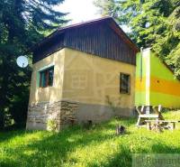 A cottage in Drienica surrounded by coniferous trees, adorned with a satellite dish and a bench.