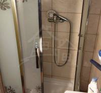 A shower corner with a floral motif and a sink in a cottage with a cozy interior.