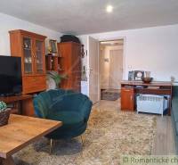 Living room in a family house with wooden furniture, a green armchair, and carpeted floors.