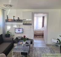 Living room in a family house with decorations, TV, and a view into the bedroom.