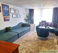 Living room in a family house with a sofa, decorations, and a plant.
