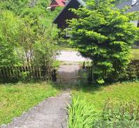 A garden by a family house in Ružomberok with a path and a bush.