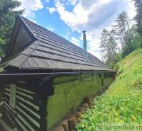 A wooden family house in Ružomberok surrounded by a flowery meadow and spruce trees.