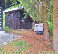 A family house in Ružomberok is surrounded by trees and a wooden shed with firewood.