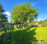 A garden at a family house in Plavecký Štvrtok with grass and a tree.