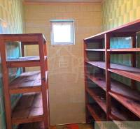 A pantry in a family house with wooden shelves and a window, green tiles.
