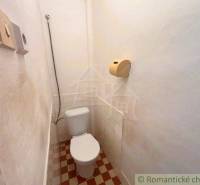 Small bathroom in a family house with a toilet and shower, white wall, tiles.