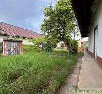 A garden by the cottage in Nové Zámky with grass, a tree, and a wooden structure.