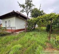 A cottage in Nové Zámky with a grassy garden, vines, and trees, enclosed by a metal fence.