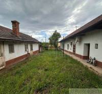 The garden of two buildings near the cottage in Nové Zámky covered with grass, a tree in the middle.