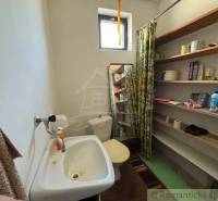 Bathroom in a family house with a sink and shelves full of cleaning supplies.