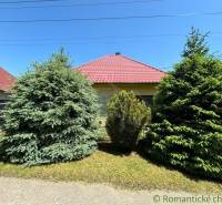 A family house in Dvorníky, surrounded by green conifers and a lawn under a blue sky.