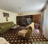 Living room in a family house with retro furniture and decorative elements.