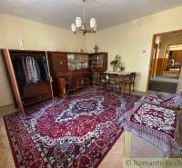 Living room with carpet, furniture, and chandelier in a family house.