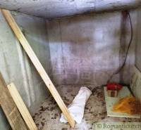A cellar in a cottage with wood and building materials.