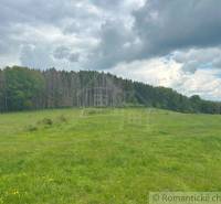Vast meadows in the Gardens near České Brezové with a forest and dramatic sky.
