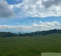 A vast meadow in the Gardens near Český Brezov, surrounded by trees and a blue sky.