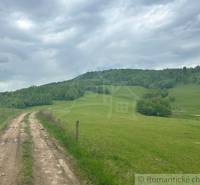A country road in České Brezová surrounded by green meadows and forest gardens.