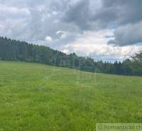 A meadow with trees and clouds in the gardens of Český Brezov.