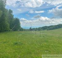Gardens in České Brezová display green meadows, trees, and a blue sky with clouds.