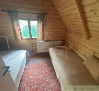 Wooden interior of a cabin with beds and a carpet on the floor.