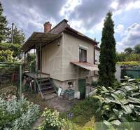 A garden near a cottage in Nové Zámky with rich vegetation and stairs.
