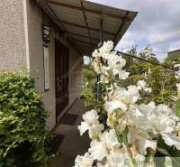 A cottage near Nové Zámky with white flowers in front of the entrance and green vegetation.