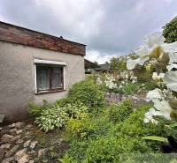 A garden by the cottage in Nové Zámky with flowers and greenery.