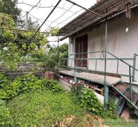 The exterior of the cottage in Nové Zámky with stairs, vine growth, and greenery.