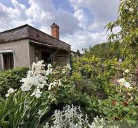 A cottage in Nové Zámky with a rich garden, flowers, and greenery under the summer sky.