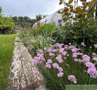 A garden by the cottage in Nové Zámky with flowers and wooden planks.