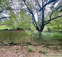 The roof of the cottage in Bratislava - Lamač behind the green fence and under the big tree.
