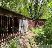 An overgrown cottage in Bratislava - Lamač, surrounded by dense forest vegetation.