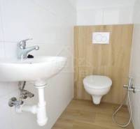 WC with a sink and a wood-paneled wall in a family house.