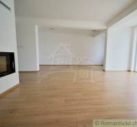 A spacious room with a fireplace and wooden floor in a family house.