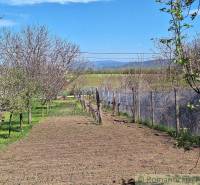 A garden with fruit trees and a fence near a cottage near Nové Zámky.