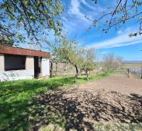 A garden with fruit trees near a cottage in Nové Zámky under the blue sky.