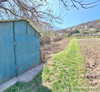 A tin cottage on a sloping plot with a vineyard in Nové Zámky.