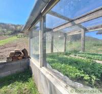 Greenhouse at the Cottage near Nové Zámky with plots and vegetables.