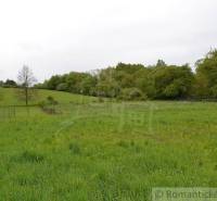 Greenery in the gardens of Kečkoviec with a fence and trees on the horizon.