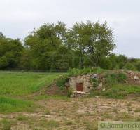 Gardens in Kečkovce with a stone cellar surrounded by grass and trees.