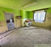 A green room in a family house with a sink and a large window.