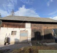 An older wooden building and a family house with a metal roof, next to a horse and a dog.