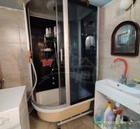 Bathroom in a family house, shower corner, sink with mirror, and cleaning products.