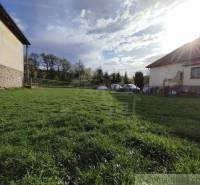 A grassy plot between family houses, cars parked in the back, sunny day.