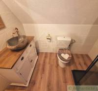 A family house bathroom with a shower, a stylish sink, and a toilet.