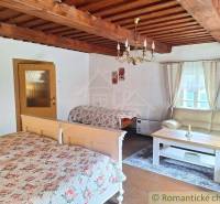 Wooden ceiling, flowers on the beds, comfortable couch, cozy atmosphere, family house, wooden structure.