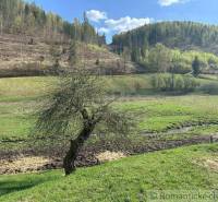 A picturesque rural landscape with meadows, trees, and gentle slopes creates a peaceful view.