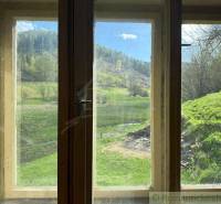 The view from the cottage window onto green pastures, a family house, nature, spring.